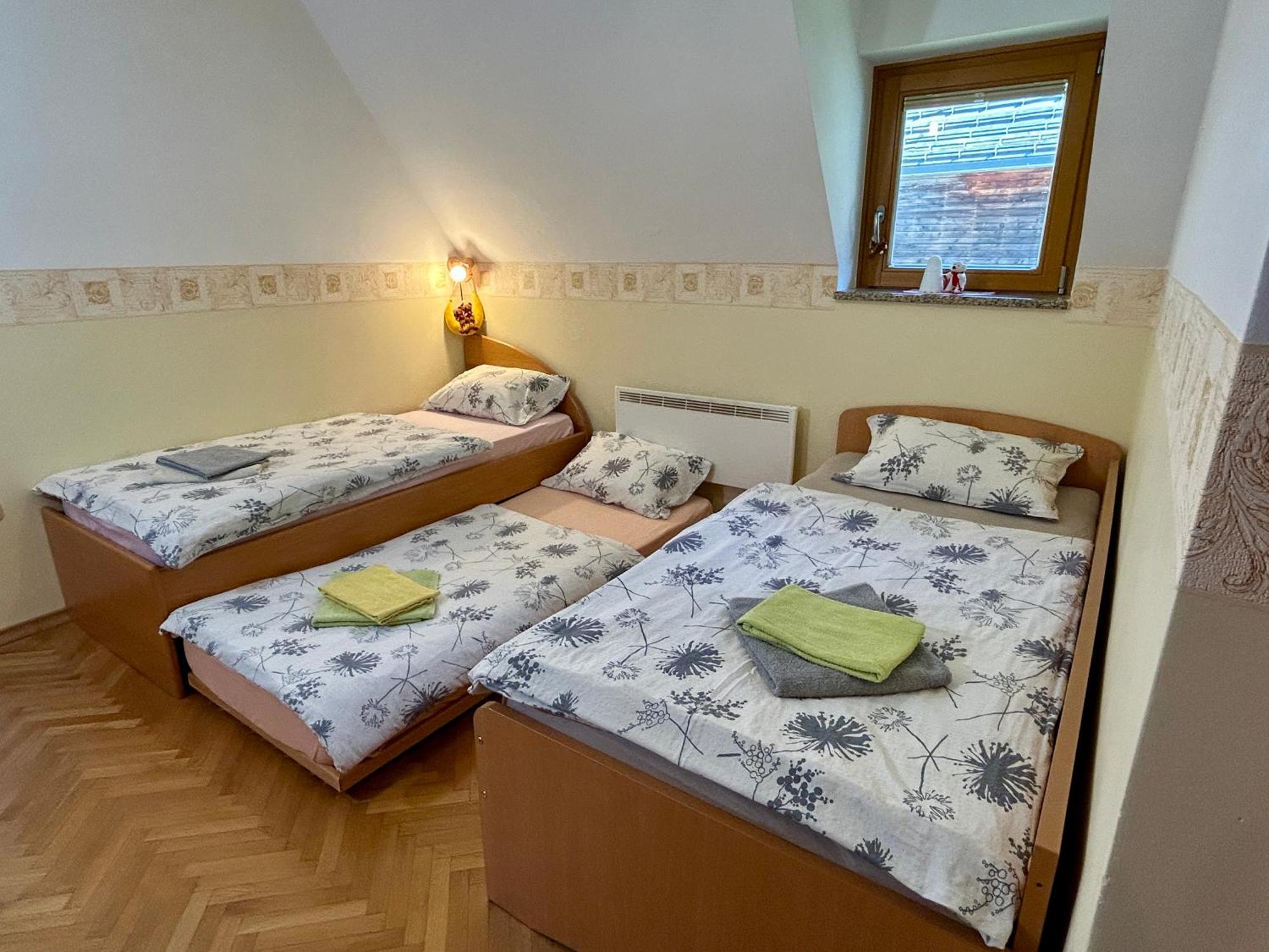Apartment Crystal Rose Kranjska Gora Exteriér fotografie
